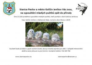 Vypuštění mladých puštíků - plakát
