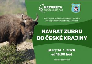 zubr