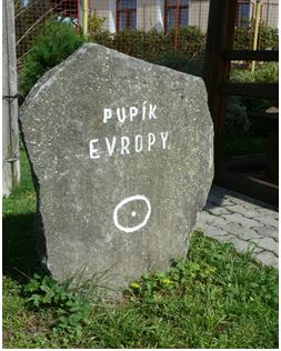 Pupík - obrázek