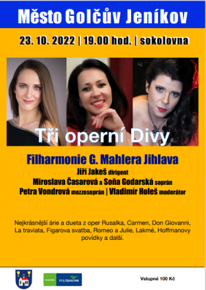 KONCERT FILHARMONIE G. MAHLERA 1