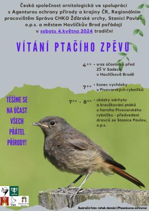 Vítání ptačího zpěvu 1